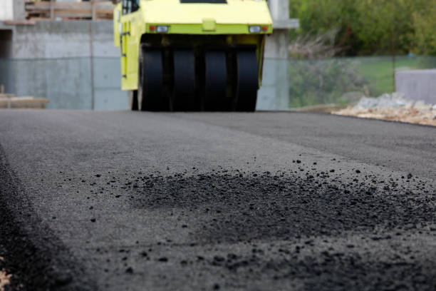Best Driveway Paving Contractor  in Coyne Center, IL