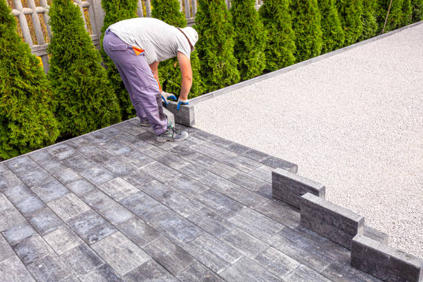 Best Custom Driveway Pavers  in Coyne Center, IL