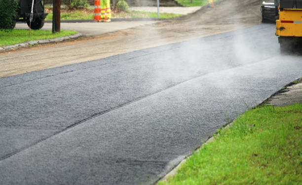 Best Driveway Repair Near Me  in Coyne Center, IL